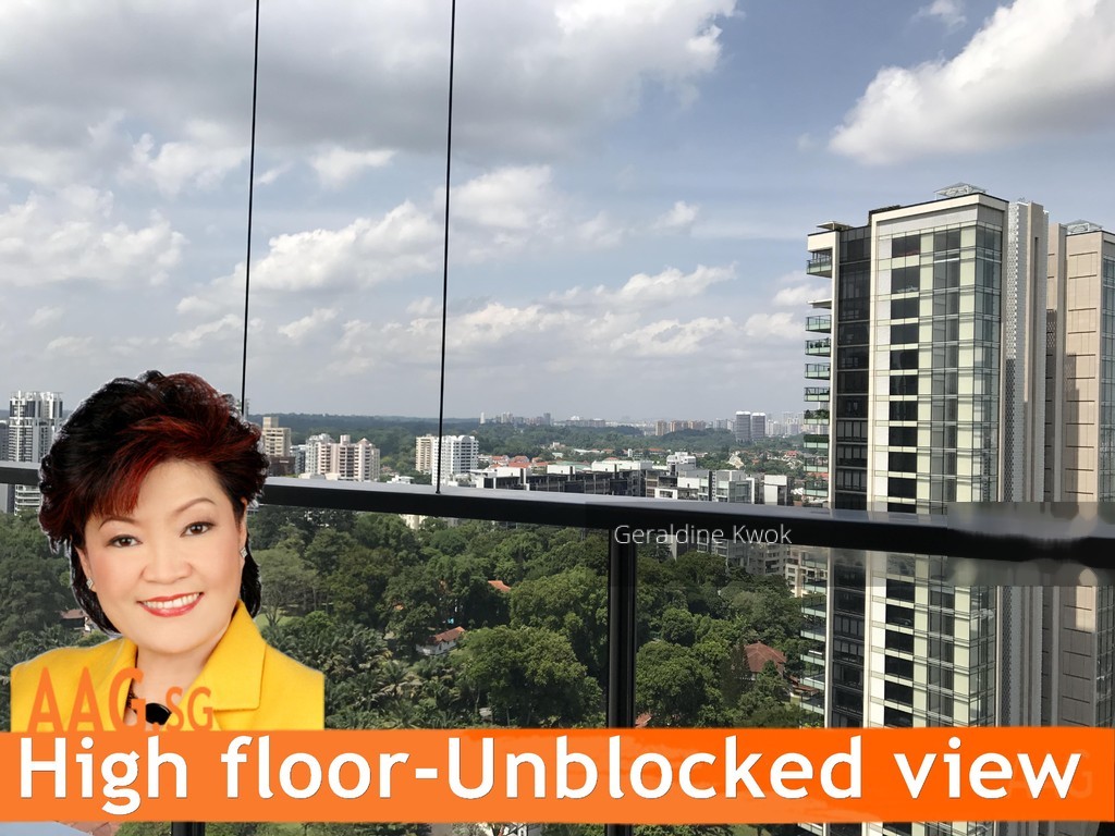 The Scotts Tower (D9), Condominium #149665402